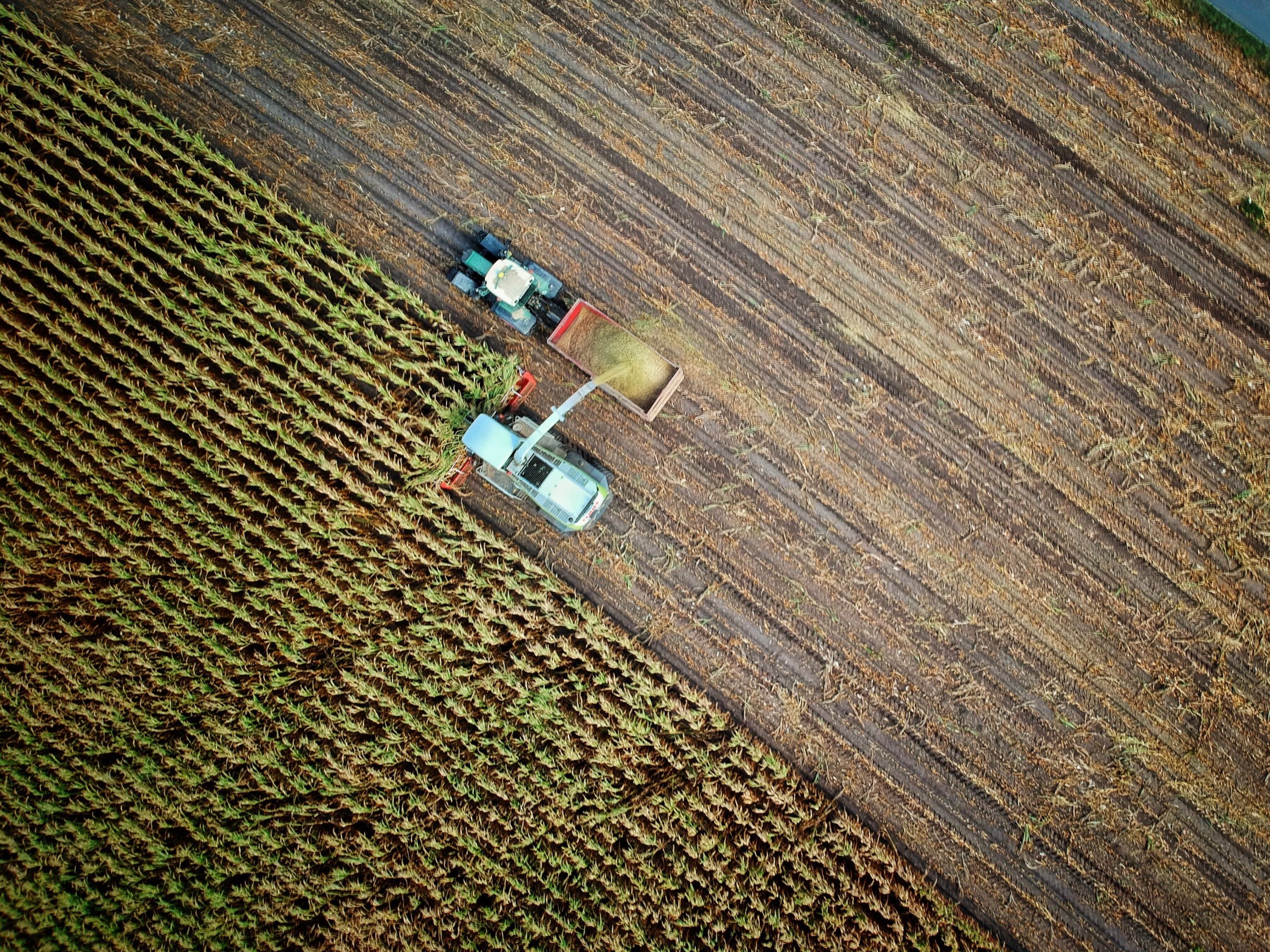no-one-cares-l_5MJnbrmrs-unsplash